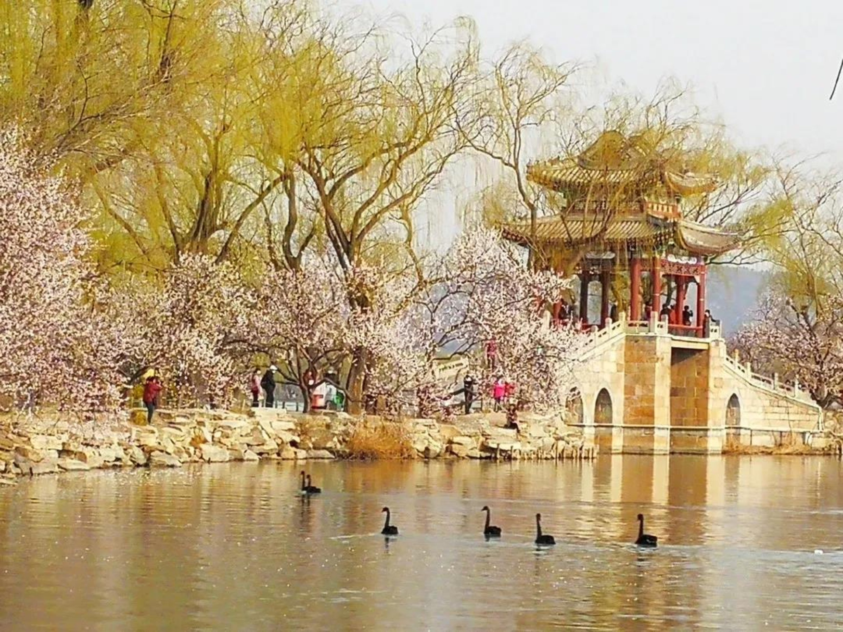 //jszx1.gcziwei.com../../images/content/2020-09/20200924151330445933.jpg